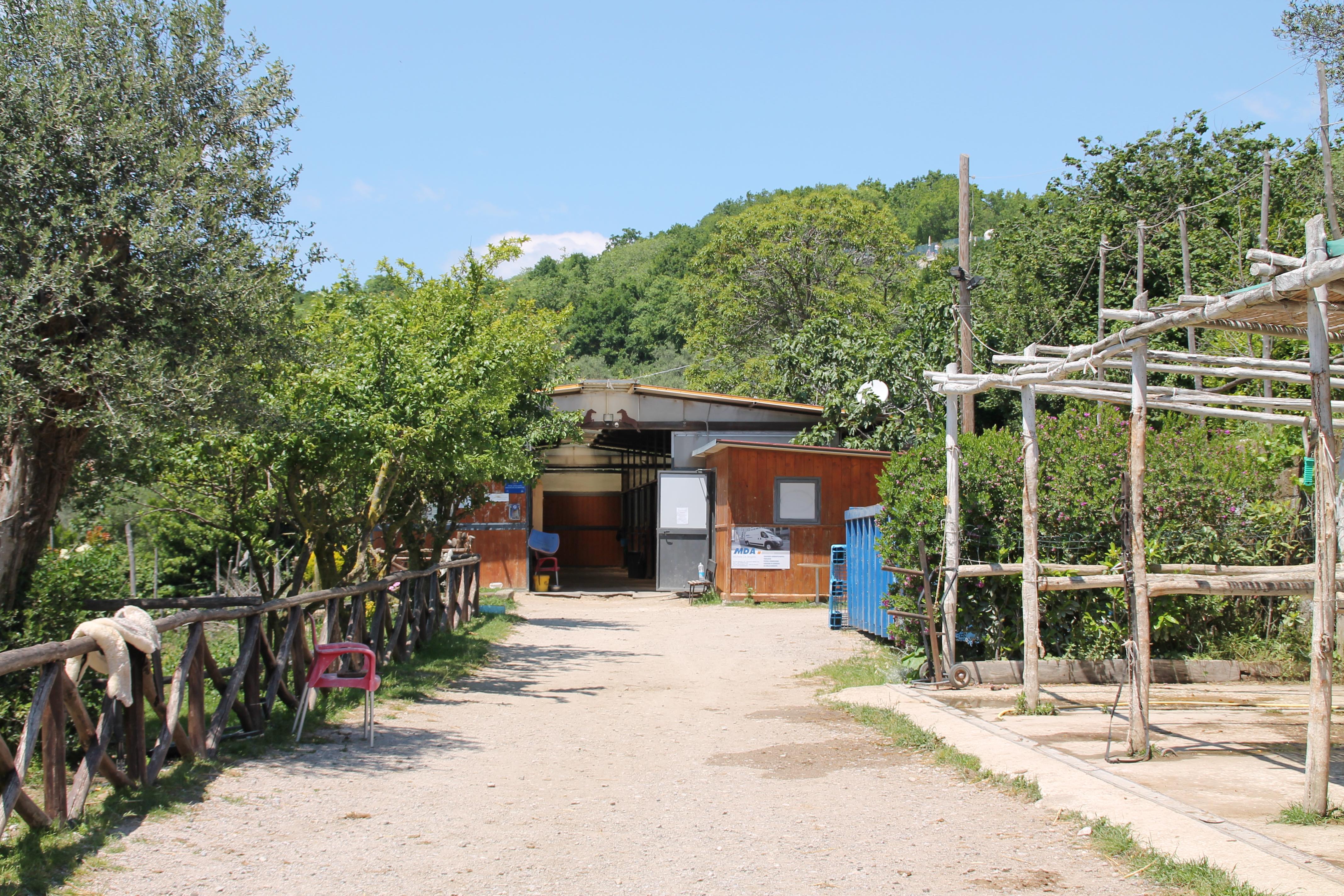 פיאנו די סורנטו Agriturismo Piccolo Paradiso מראה חיצוני תמונה