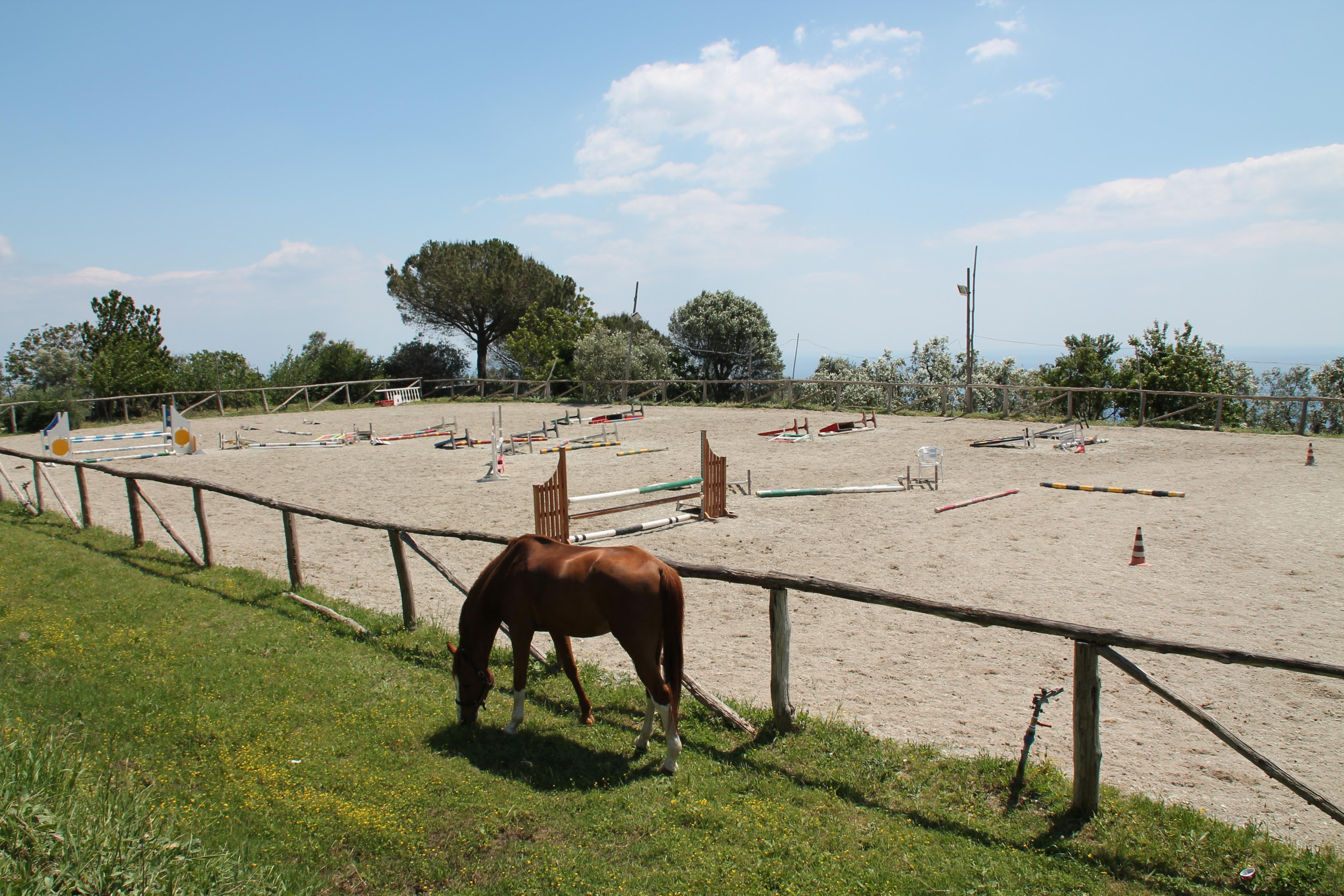 פיאנו די סורנטו Agriturismo Piccolo Paradiso מראה חיצוני תמונה