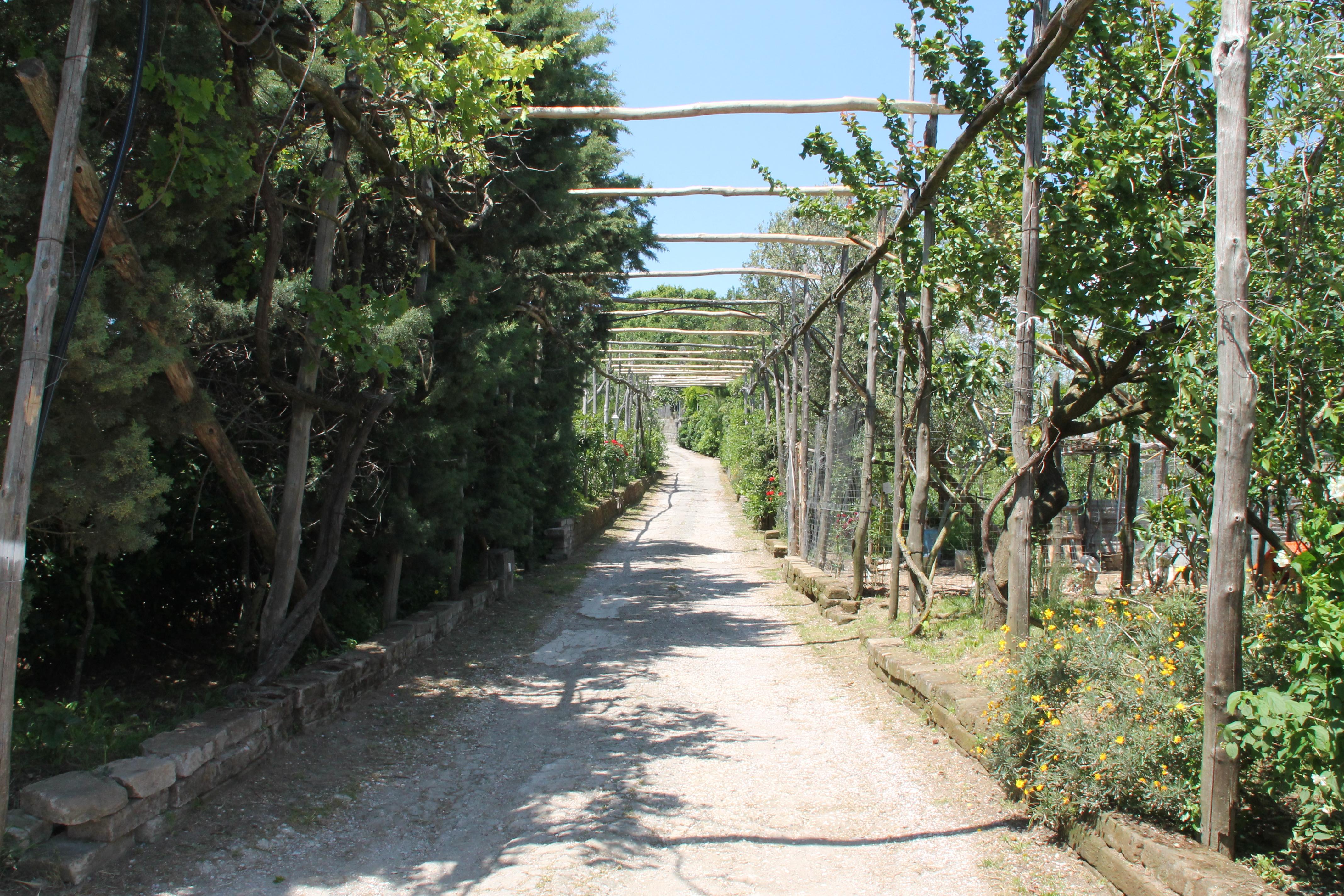 פיאנו די סורנטו Agriturismo Piccolo Paradiso מראה חיצוני תמונה