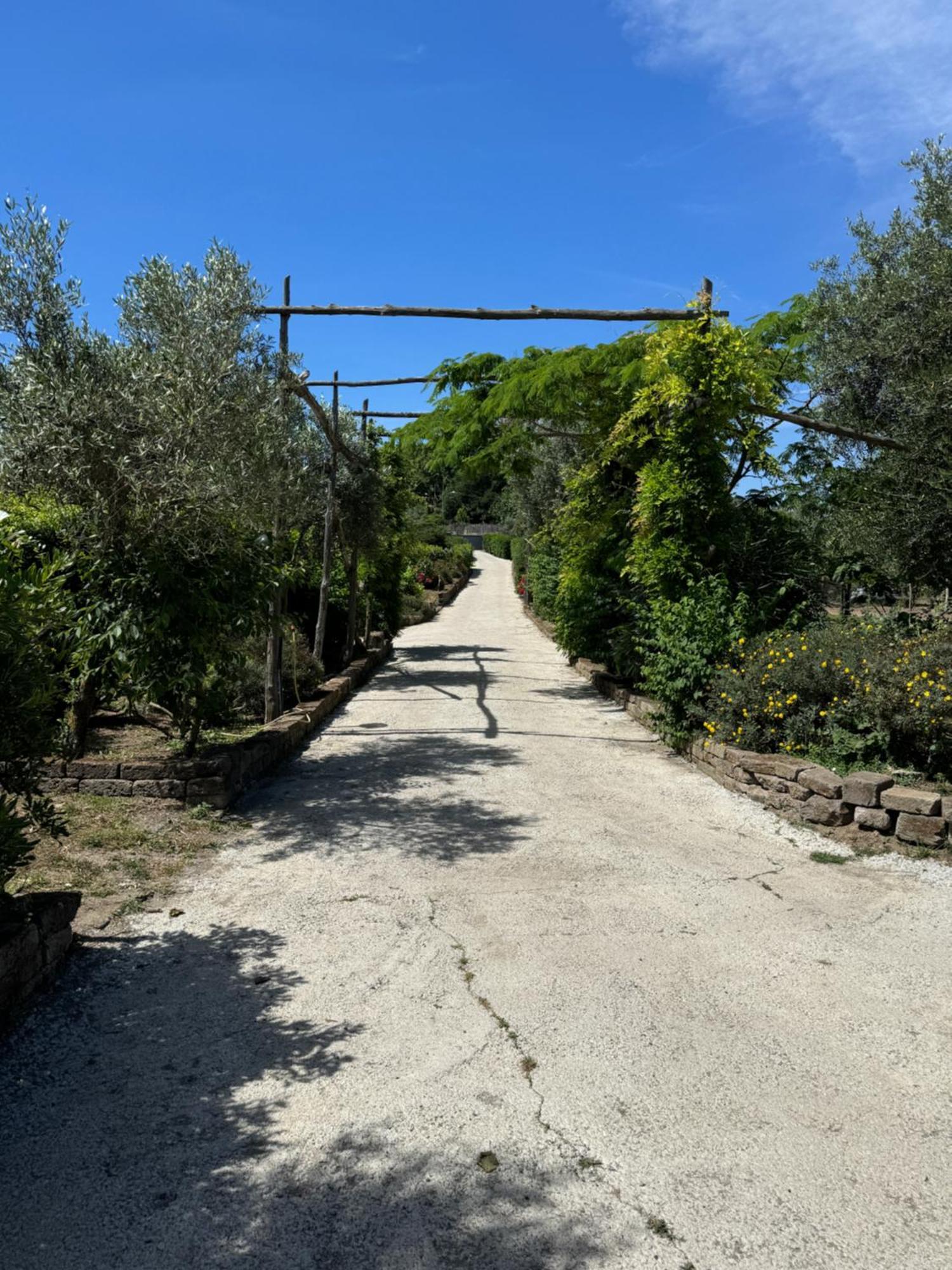 פיאנו די סורנטו Agriturismo Piccolo Paradiso מראה חיצוני תמונה