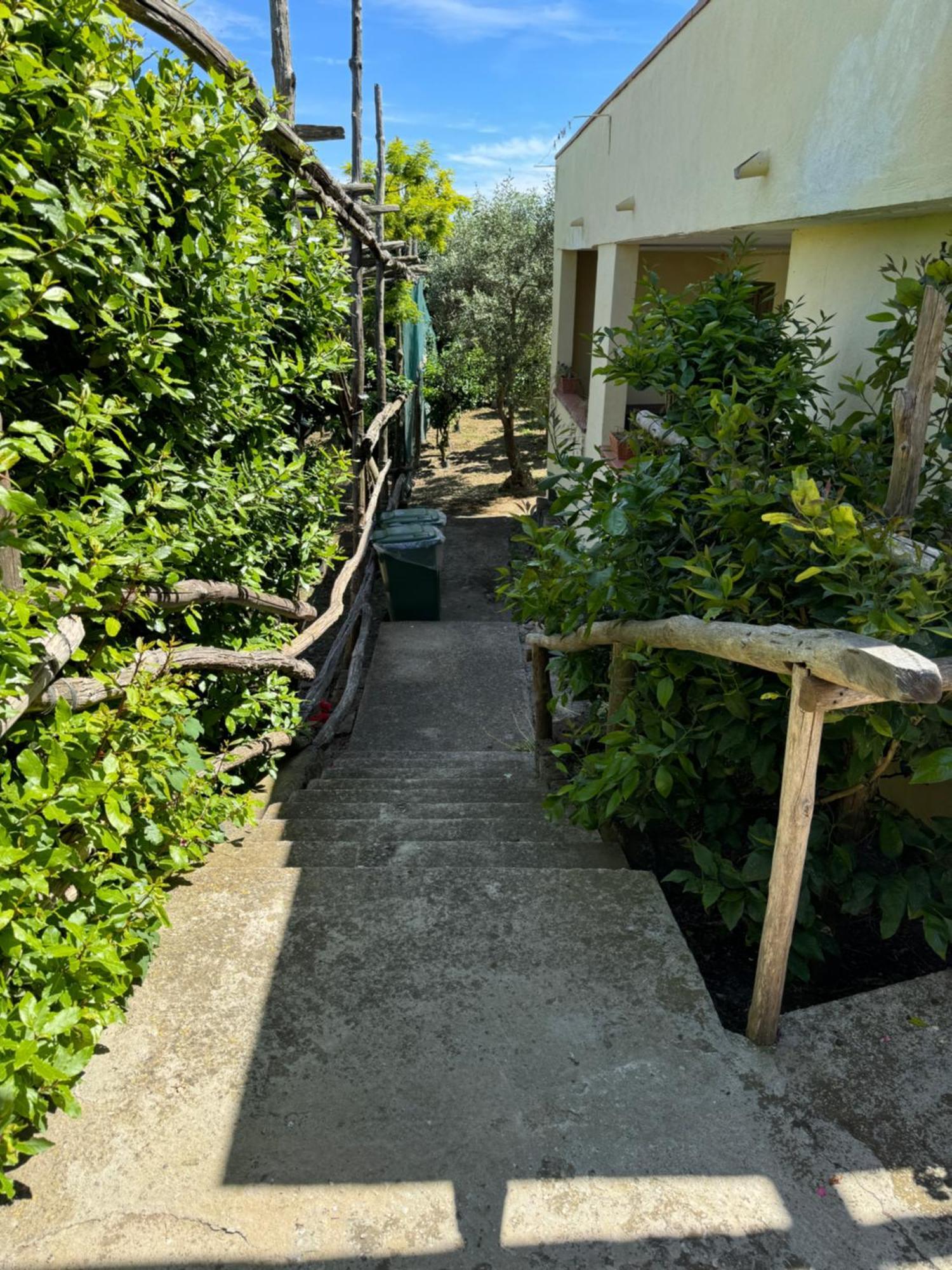 פיאנו די סורנטו Agriturismo Piccolo Paradiso מראה חיצוני תמונה