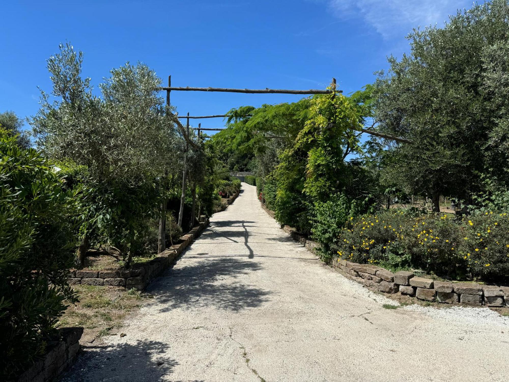 פיאנו די סורנטו Agriturismo Piccolo Paradiso מראה חיצוני תמונה