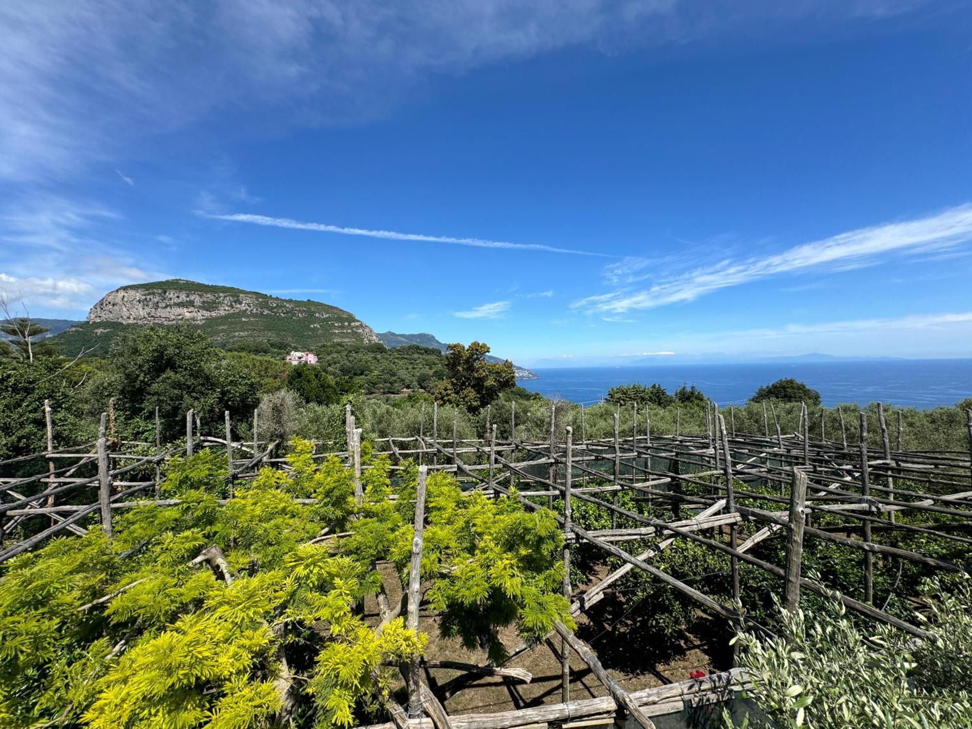 פיאנו די סורנטו Agriturismo Piccolo Paradiso מראה חיצוני תמונה