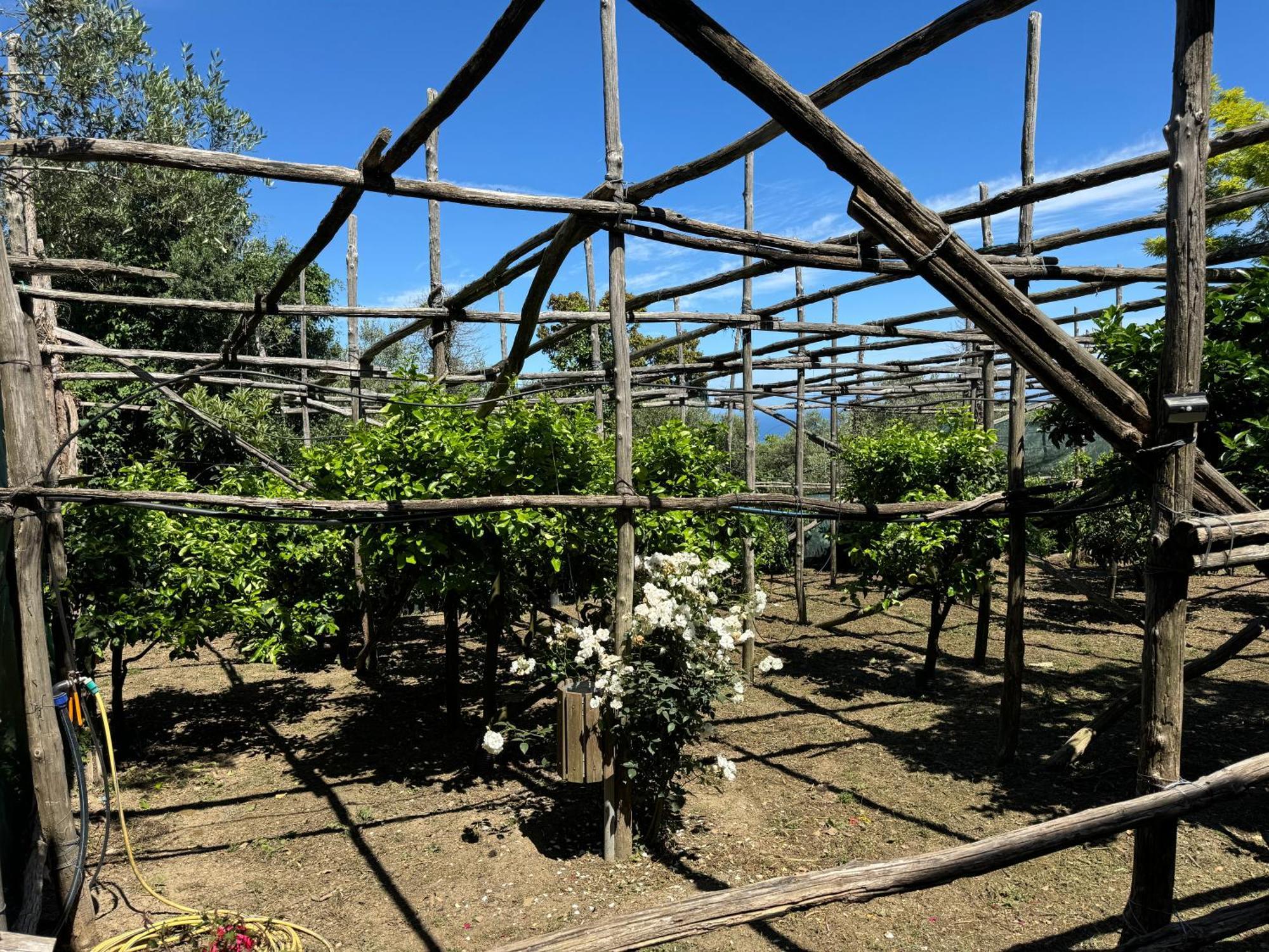 פיאנו די סורנטו Agriturismo Piccolo Paradiso מראה חיצוני תמונה