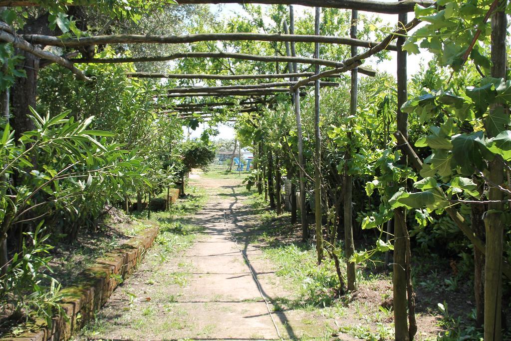 פיאנו די סורנטו Agriturismo Piccolo Paradiso מראה חיצוני תמונה