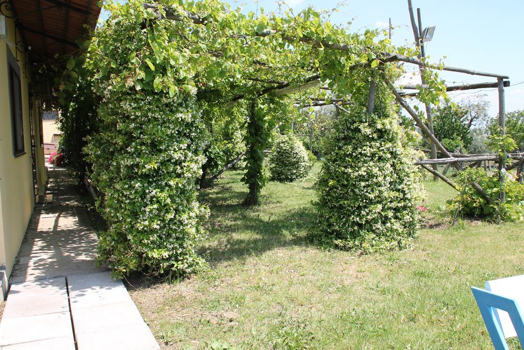 פיאנו די סורנטו Agriturismo Piccolo Paradiso מראה חיצוני תמונה