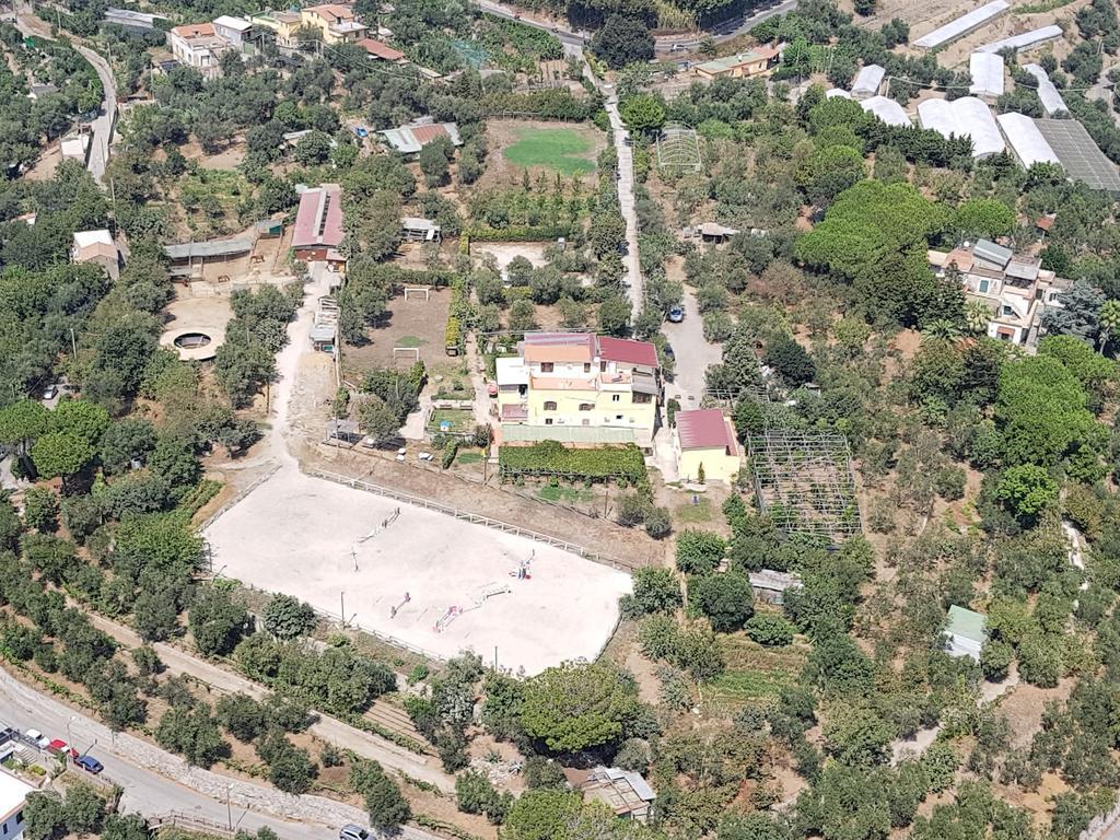 פיאנו די סורנטו Agriturismo Piccolo Paradiso מראה חיצוני תמונה