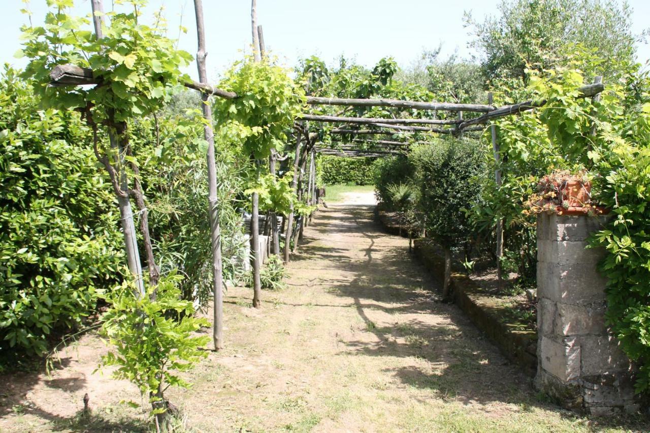 פיאנו די סורנטו Agriturismo Piccolo Paradiso מראה חיצוני תמונה