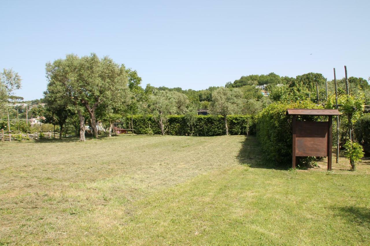 פיאנו די סורנטו Agriturismo Piccolo Paradiso מראה חיצוני תמונה